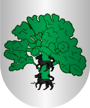 ESCUDO SIGUIENTE